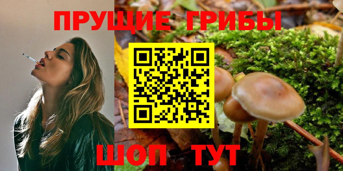 Галлюциногенные грибы прущие грибы  Вход с VPN  Брянск  Псилоцибиновые грибы MAGIC MUSHROOMS 